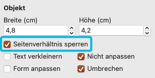 Kontrollkästchen Seitenverhältnis sperren