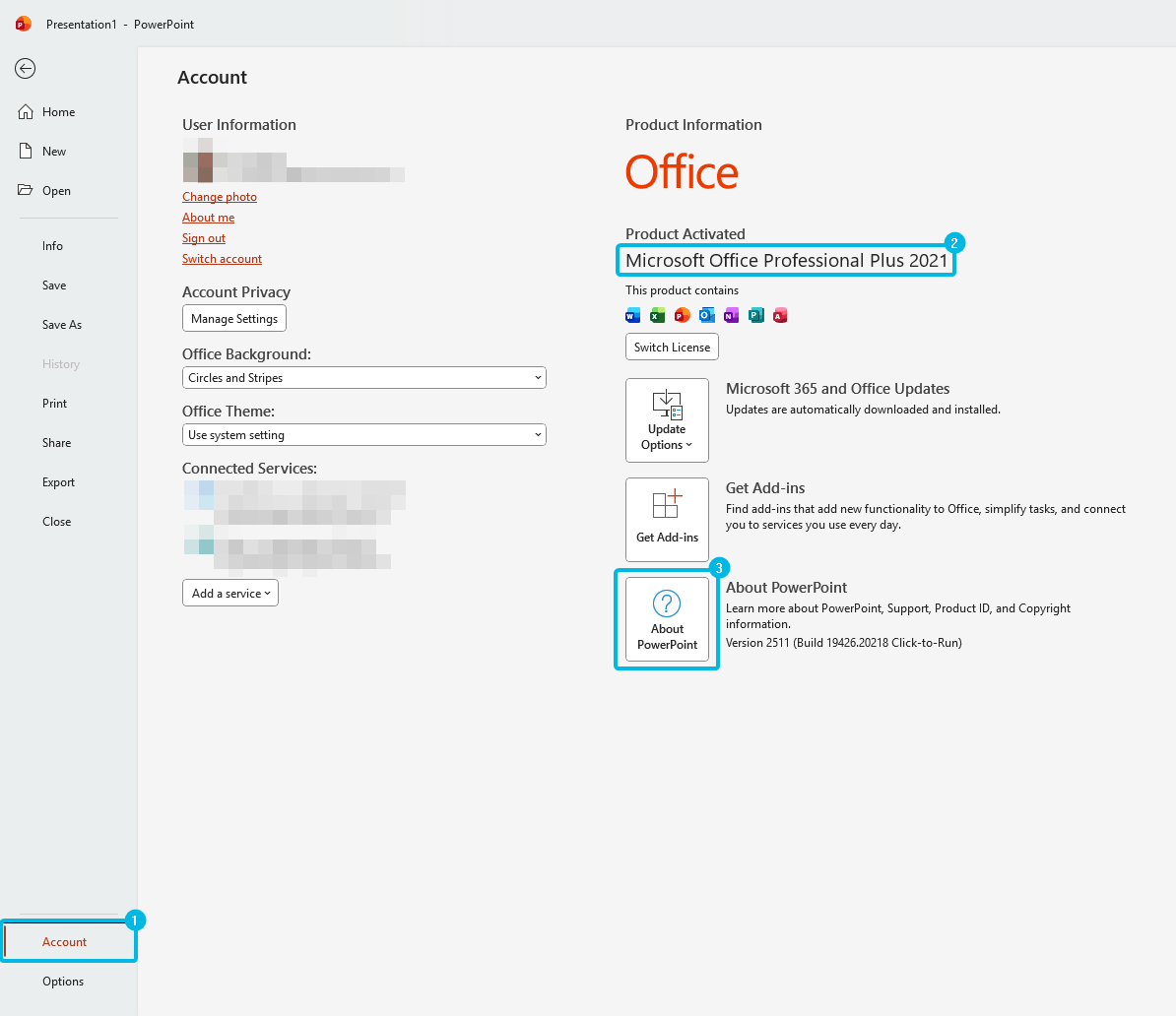 Access Version Information in PowerPoint