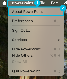 Option About PowerPoint