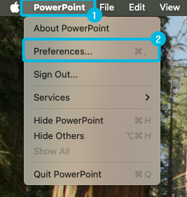 Option Preferences