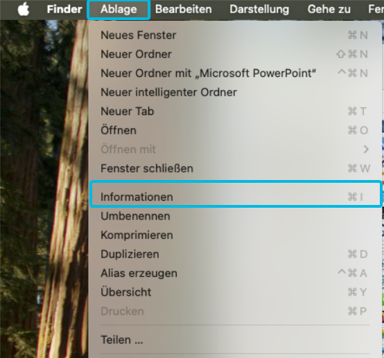 Option Informationen