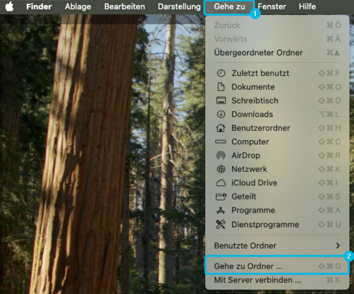 Option Gehe zu Ordner…