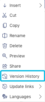 Option Version History in Element Context Menu
