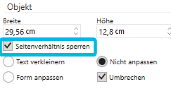 Kontrollkästchen Seitenverhältnis sperren